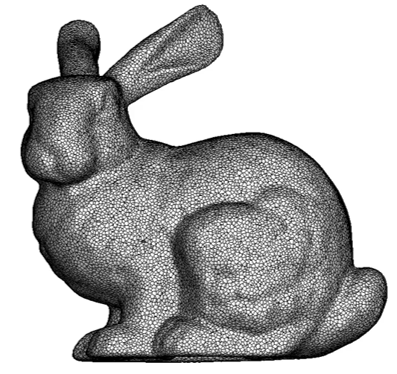 Polygonal Discretization 3